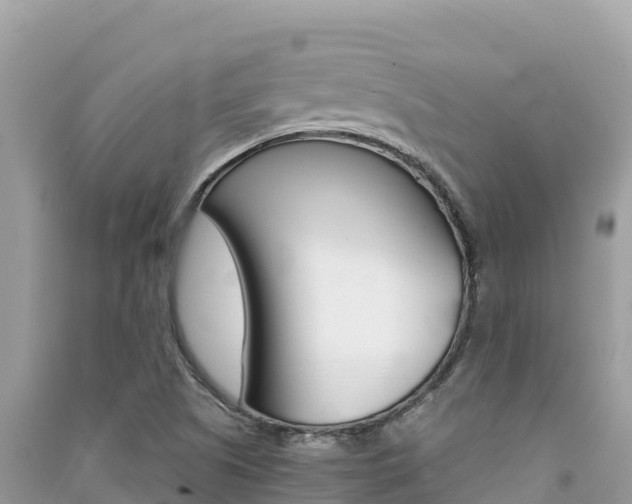 X0000091301505200708101037