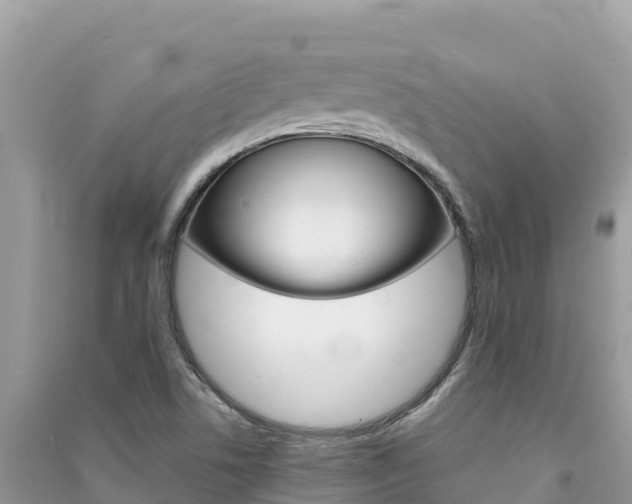 X0000091301506200708101037
