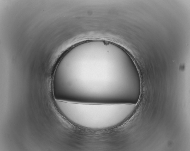 X0000091301507200708101037
