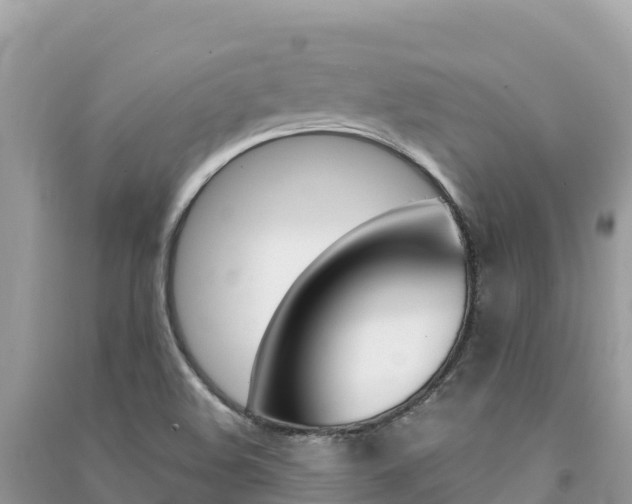 X0000091301508200708101037