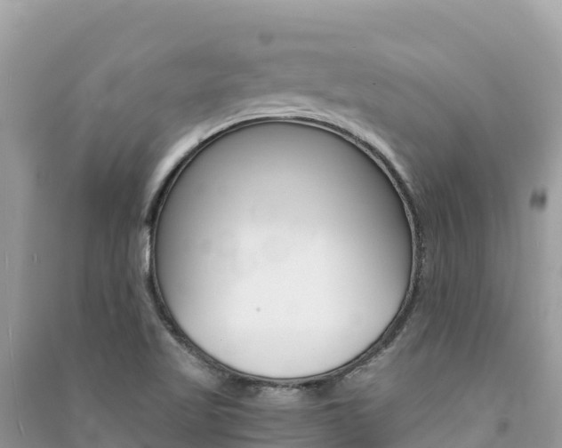 X0000091301509200708101037