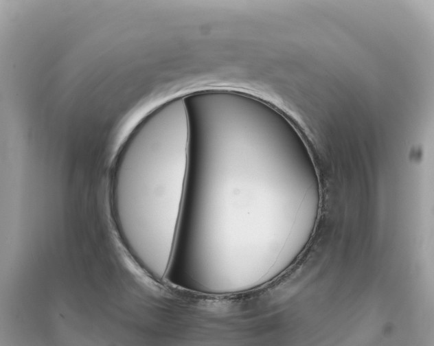 X0000091301511200708101037