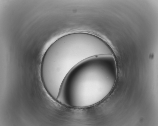 X0000091301512200708101037