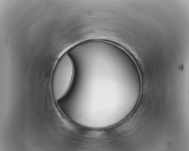 X0000091301513200708101037
