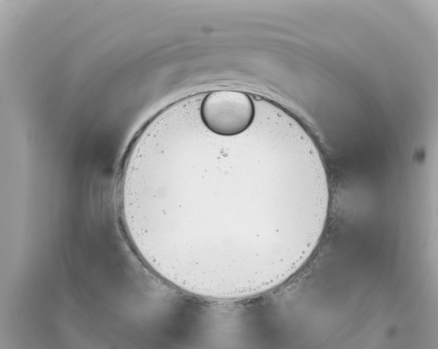 X0000091301514200708101037