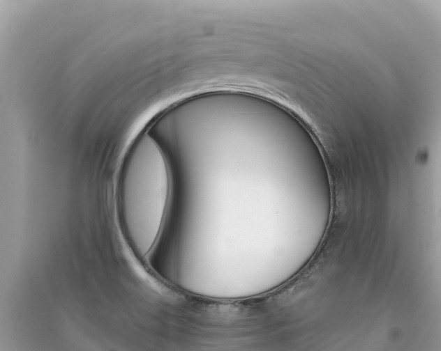 X0000091301515200708101037