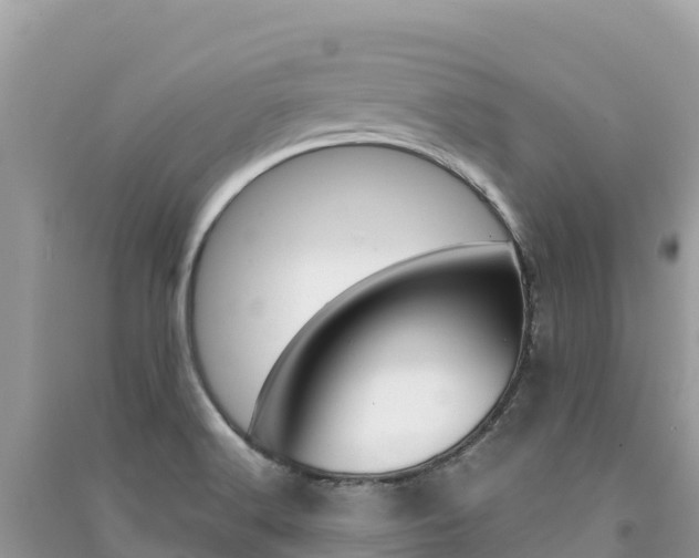 X0000091301516200708101037