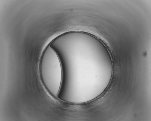 X0000091301517200708101037
