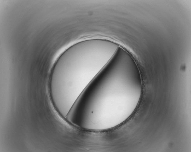 X0000091301518200708101037