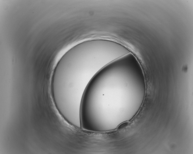 X0000091301520200708101037