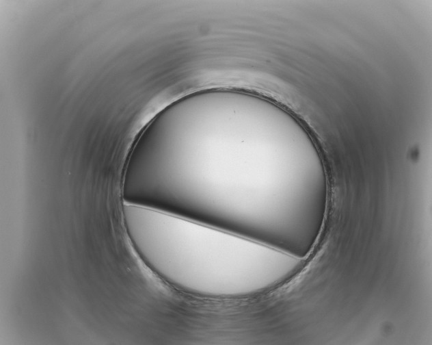 X0000091301521200708101037