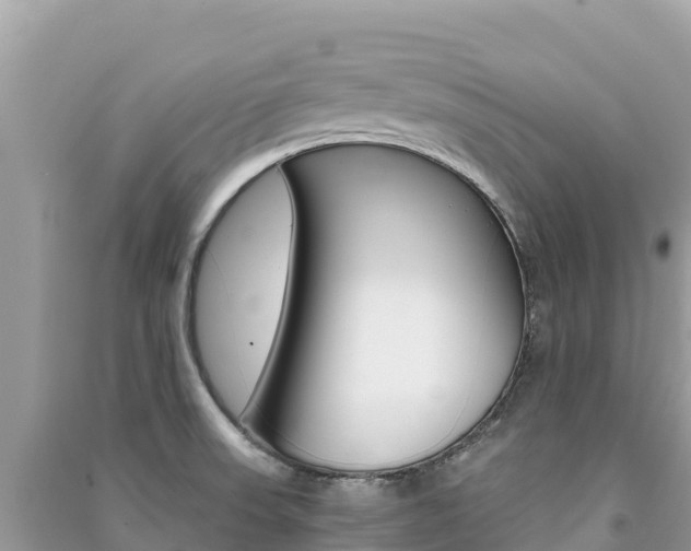 X0000091301523200708101037