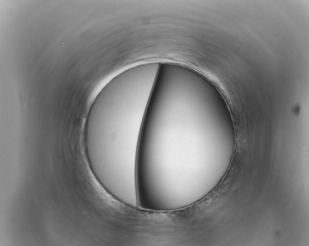 X0000091301524200708101037