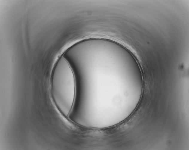 X0000091301525200708101037