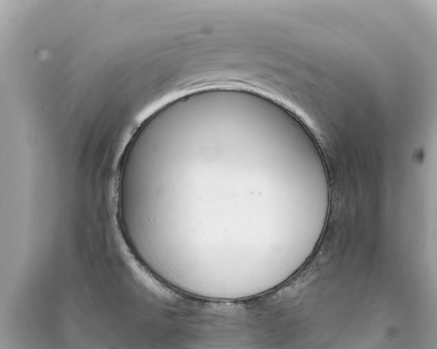 X0000091301526200708101037