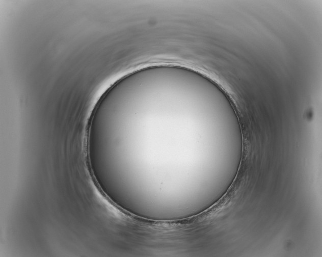 X0000091301527200708101037