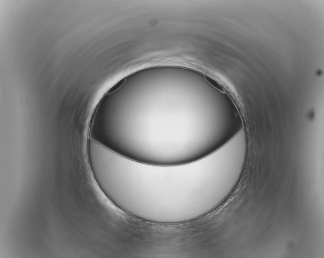 X0000091301528200708101037