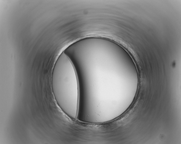 X0000091301529200708101037
