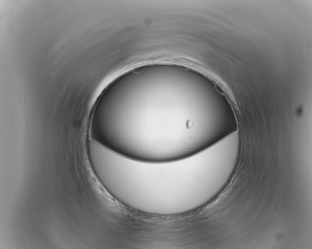 X0000091301530200708101037