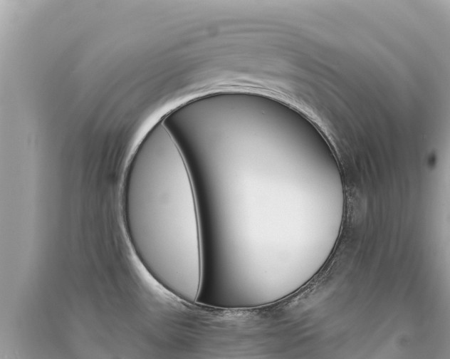 X0000091301531200708101037