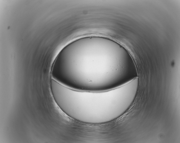 X0000091301532200708101037
