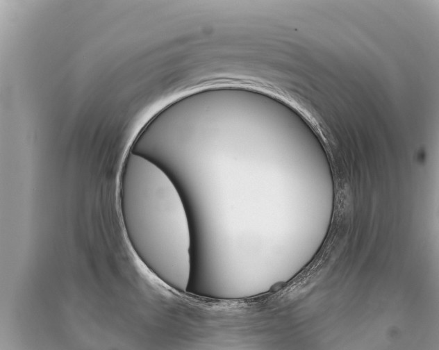 X0000091301535200708101037