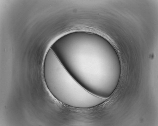 X0000091301536200708101037