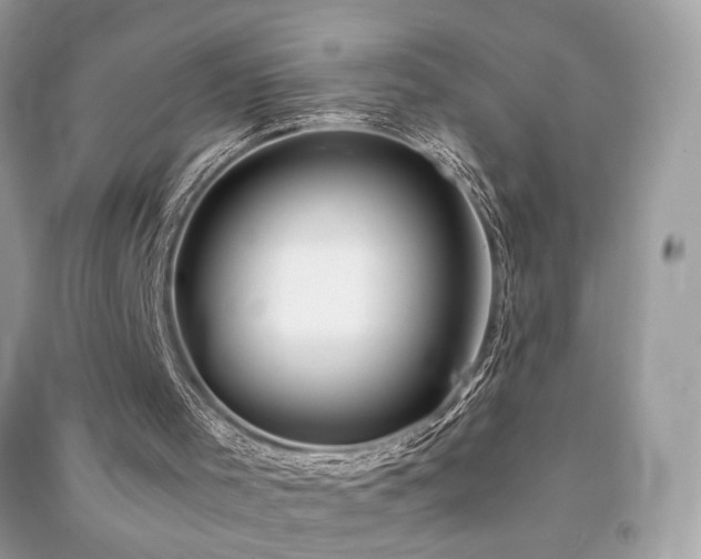 X0000091300001200708101318