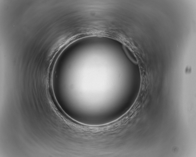 X0000091300002200708101318