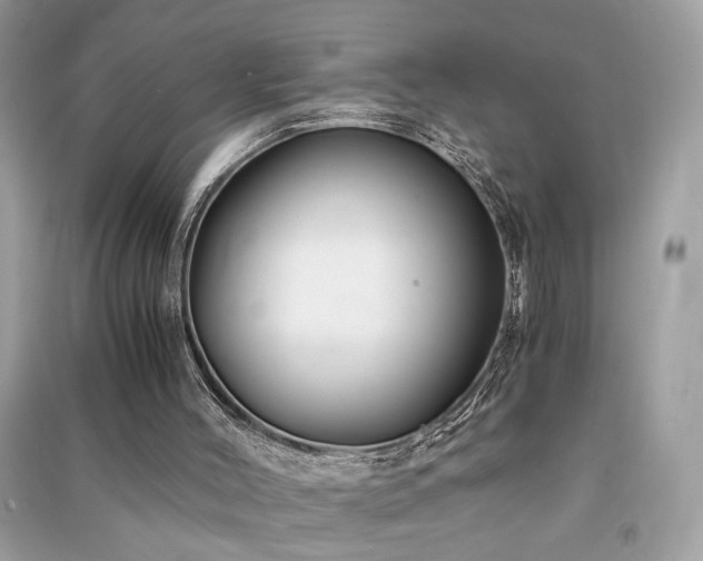 X0000091300004200708101318