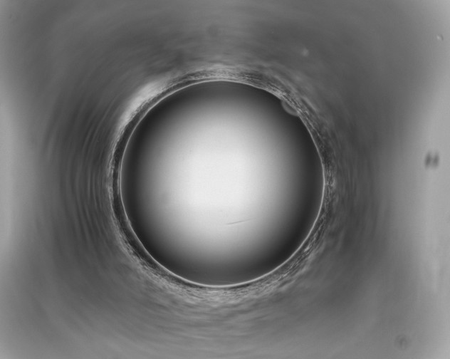 X0000091300006200708101318