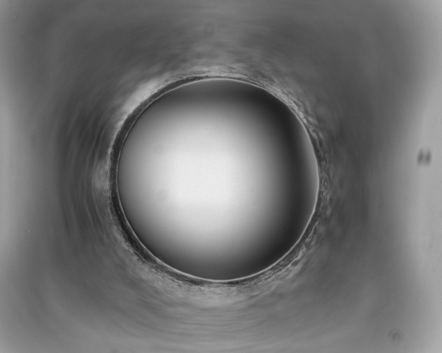 X0000091300008200708101318