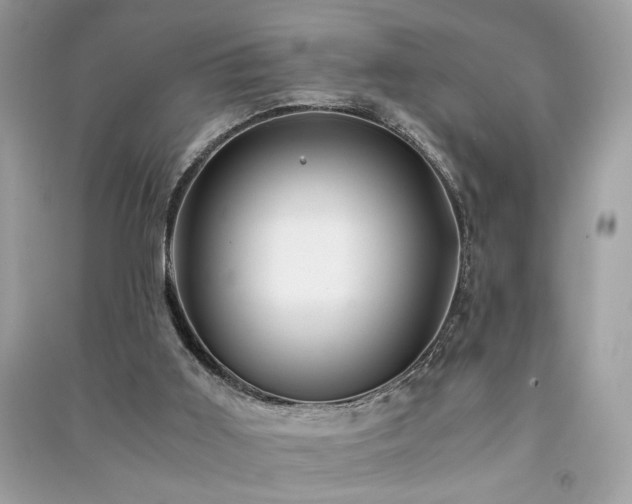 X0000091300011200708101318