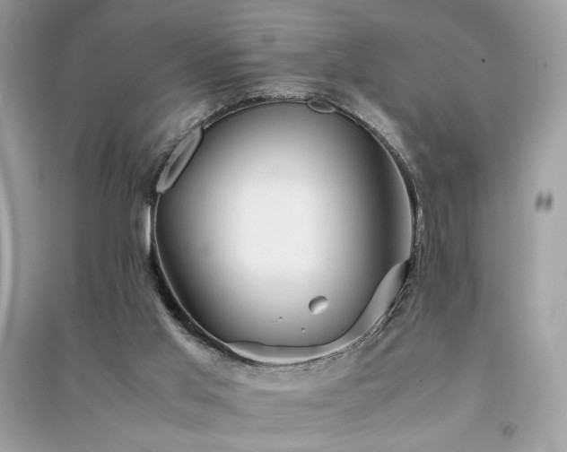 X0000091300013200708101318