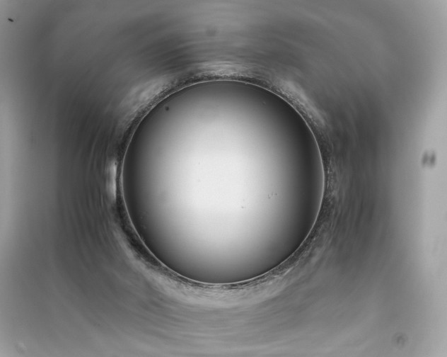 X0000091300014200708101318