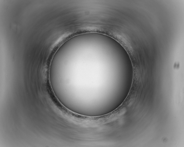 X0000091300016200708101318