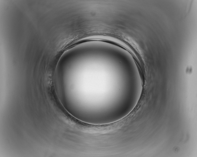 X0000091300017200708101317