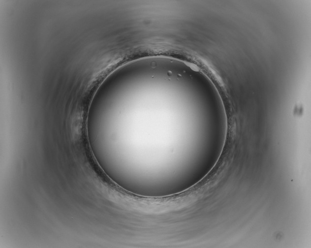 X0000091300018200708101317