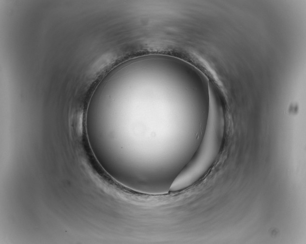 X0000091300019200708101317