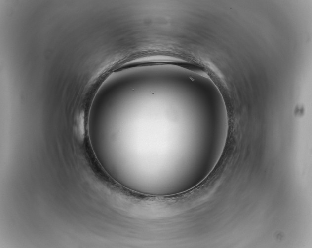 X0000091300020200708101317