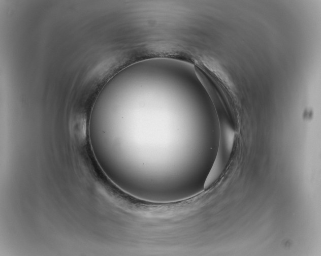 X0000091300021200708101317