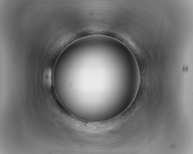 X0000091300022200708101317