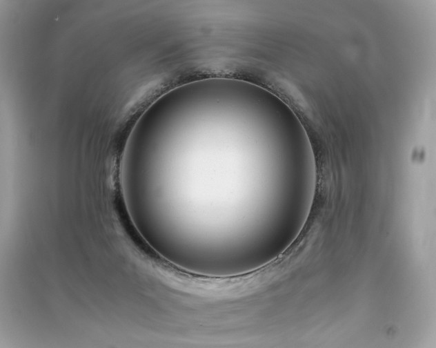 X0000091300023200708101317