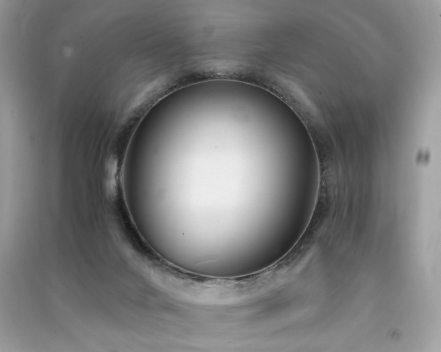 X0000091300024200708101317