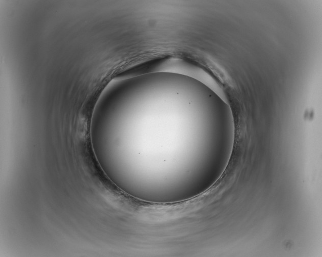 X0000091300025200708101317