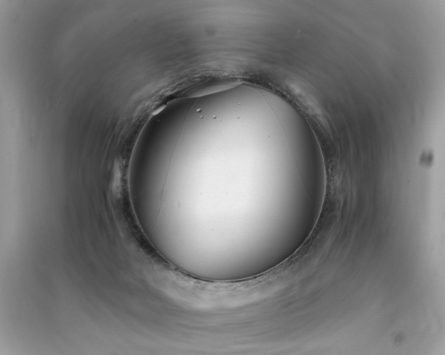 X0000091300026200708101317