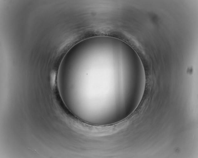 X0000091300027200708101317