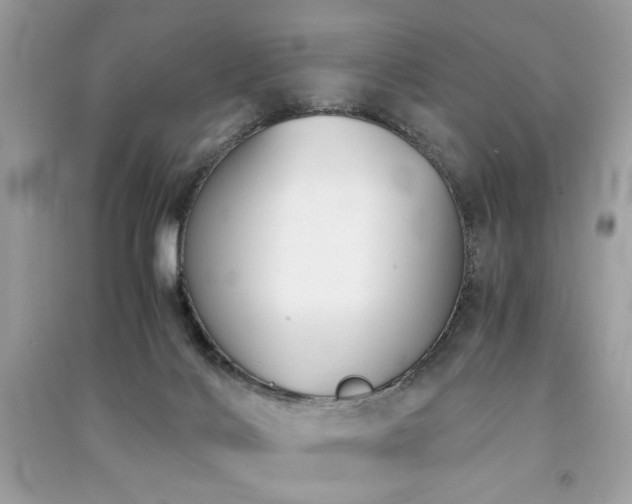 X0000091300028200708101317