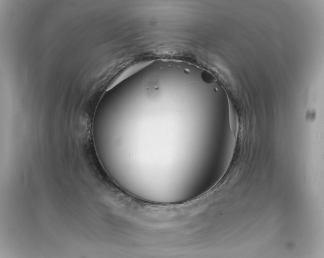 X0000091300029200708101317