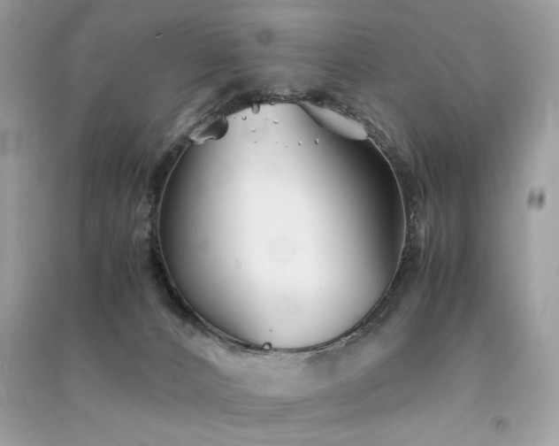 X0000091300032200708101317